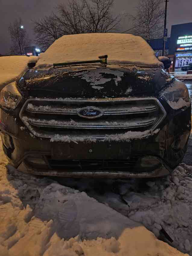 Foed Kuga