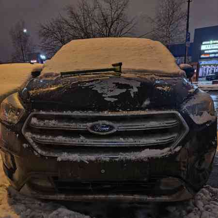 Foed Kuga